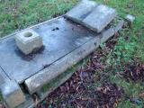 image of grave number 385508